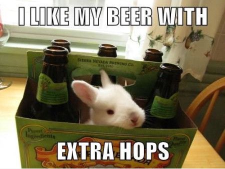 I Like My Beer With Funny Meme Picture