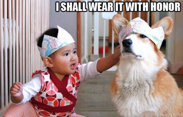 I Shall Wear It With Honor Funny Amazing Meme Picture
