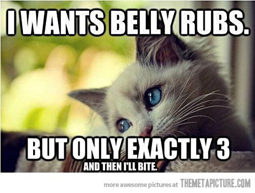 I Wants Belly Rubs Funny Sad Meme Image