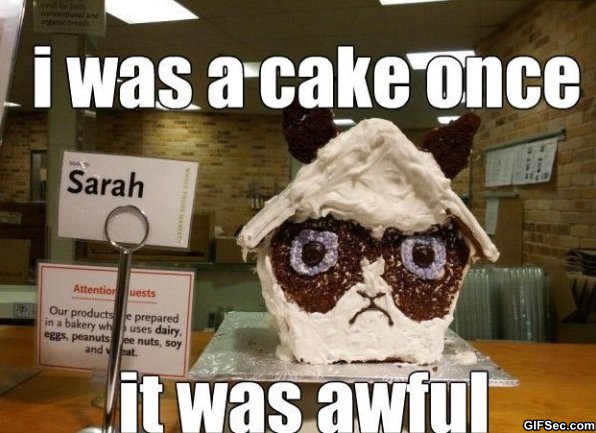 I Was A Cake Once It Was Awful Funny Cake Meme Picture