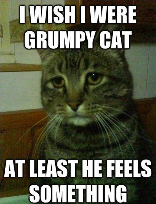 I Wish I Were Grumpy Cat At Least He Feels Something Funny Sad Meme Image