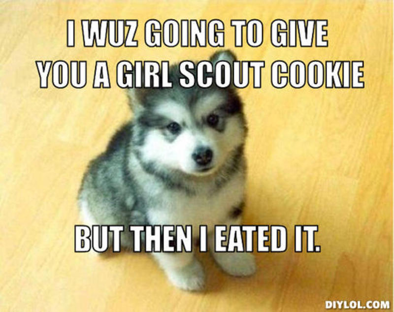 I Wuz Going To Give You A Girl Scout Cookie Funny Meme Image