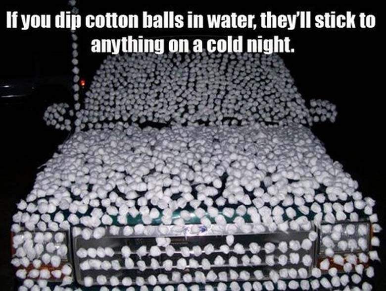 If You Dip Cotton Balls In Water They Will Stick To Anything On A Cold Night Funny April Fools Image