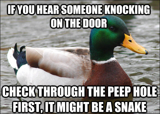 If You Hear Someone Knocking On The Door Check Through The Pee Hole First It Might Be A Snake Funny Meme Image