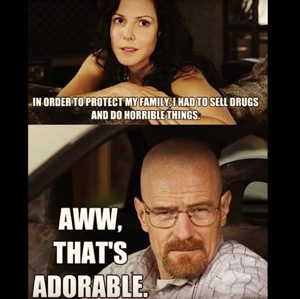 In Order To Protect My Family I Had To Sell Drugs And Do Horrible Things Funny Drugs Meme Picture