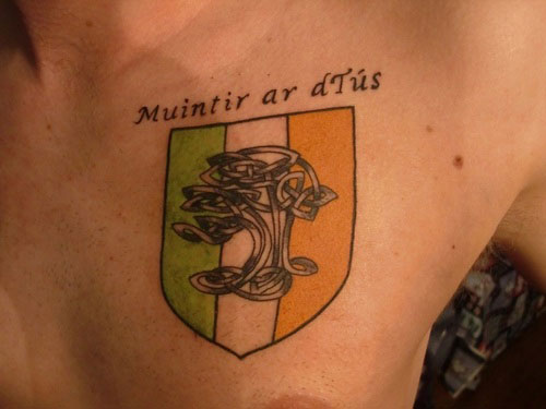 Irish Flag Tattoo On Man Chest