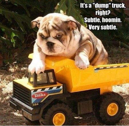 It's A Dump Truck Right Subtle Hoomin Very Subtle Funny Truck Meme Image