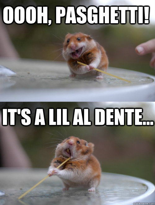 It's A Lil Al Dente Funny Hamster Meme Image
