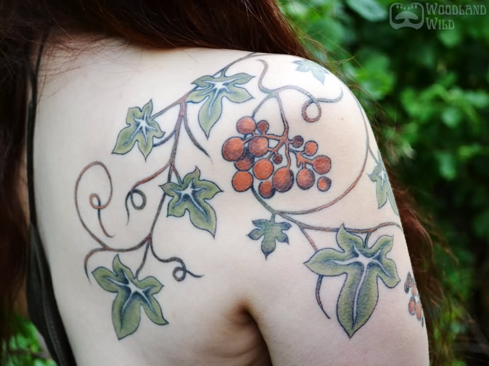 Ivy Vine Tattoo On Girl Right Back Shoulder.
