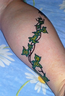 Ivy Vine Tattoo On Leg Calf