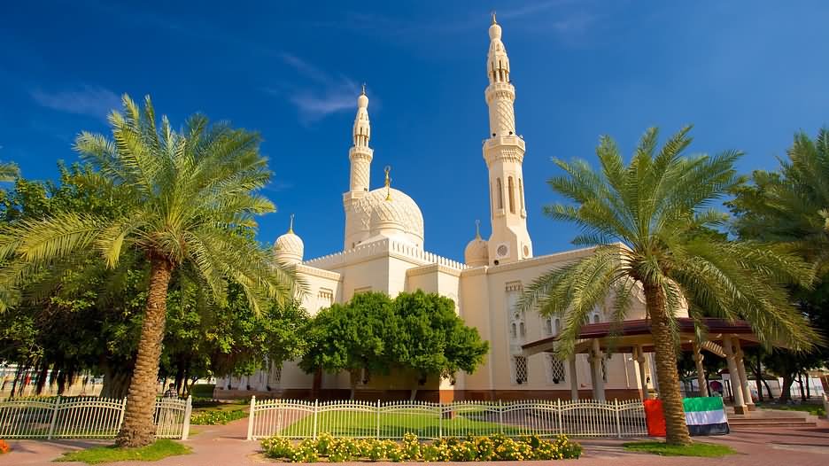 Jumeirah Mosque In Dubai Picture