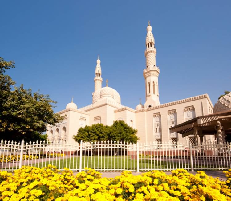 Jumeirah Mosque View From Garden