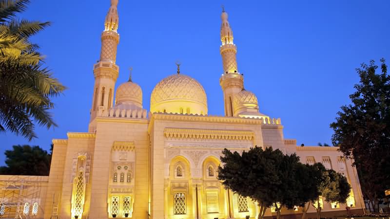 Jumeirah Mosque With Night Lights