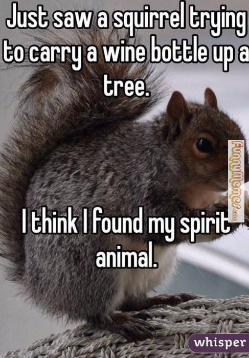 Just Saw A Squirrel Trying To Carry A Wine Bottle Up A Tree Funny Squirrel Meme Picture