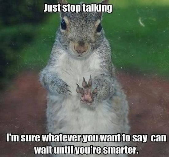Just Stop Talking Funny Squirrel Meme Image