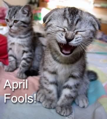 Laughing Kitten Saying April Fools Funny Image