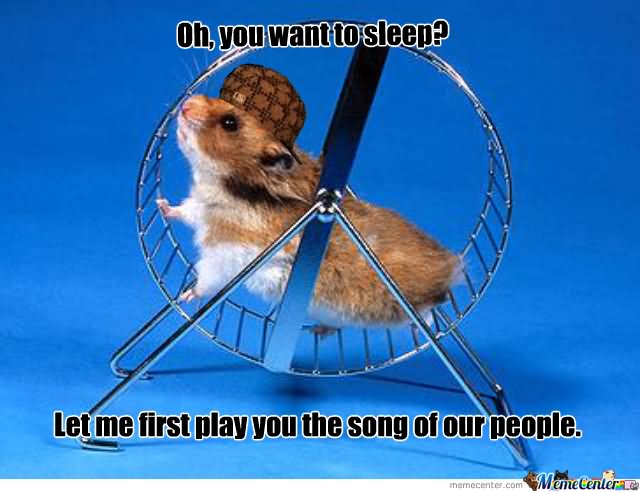 Let Me First Play You The Song Of Our People Funny Hamster Meme Picture
