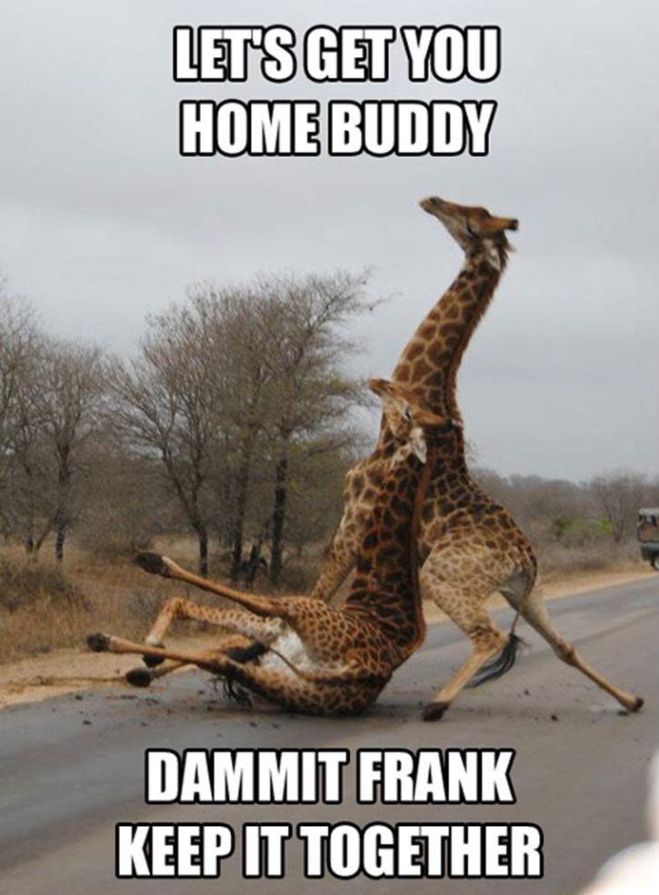 Let's Get You Home Buddy Funny Amazing Meme Picture