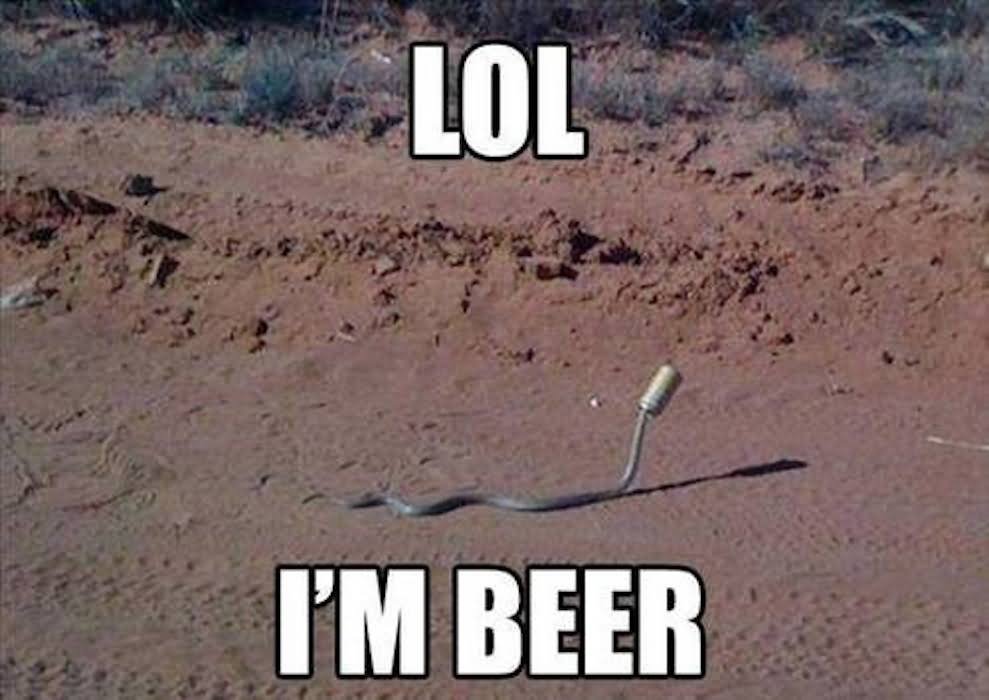 Lol I Am Beer Funny Snake Meme Image