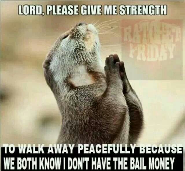 Lord Please Give Me Strength Funny Squirrel Meme Image