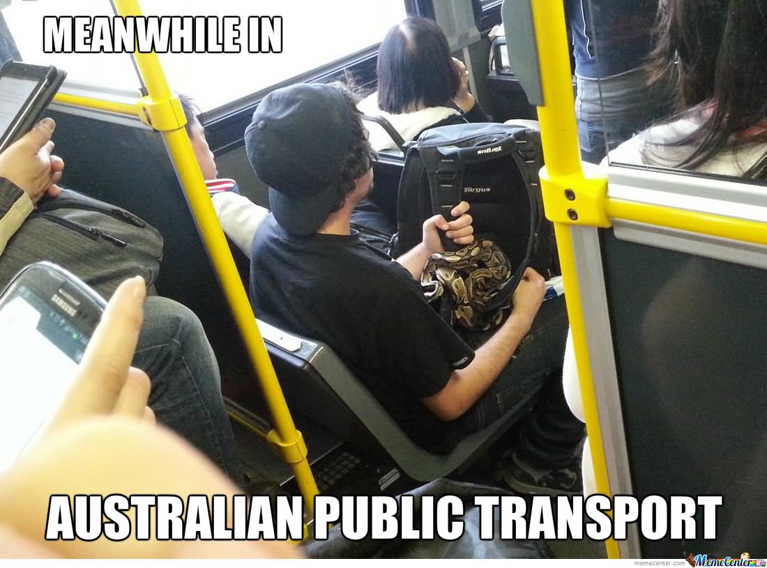 Meanwhile In Australian Public Transport Funny Snake Meme Image