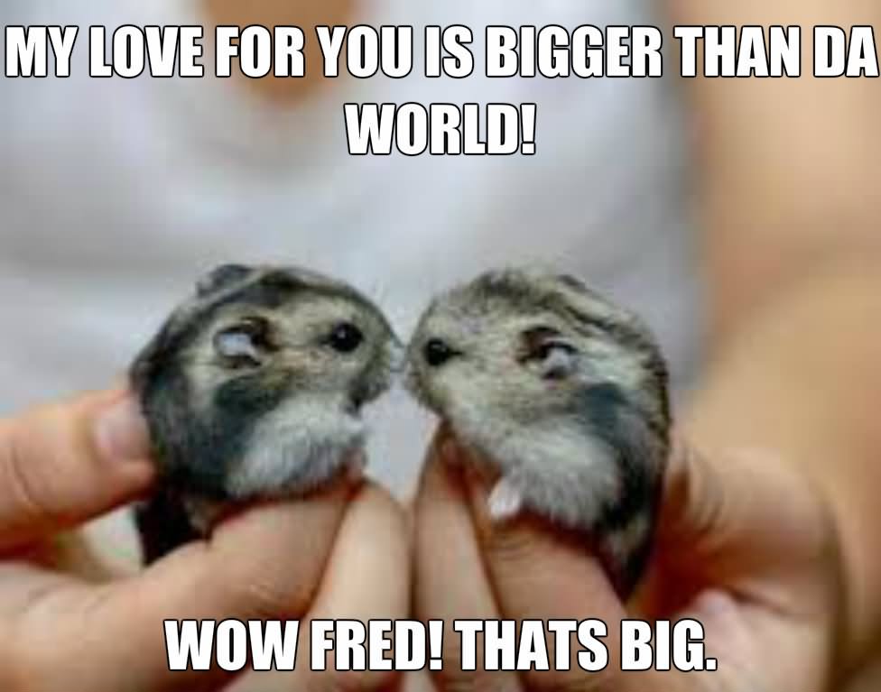 My Love For You Is Bigger Than Da World Wow Fred Thats Big Funny Hamster Meme Image
