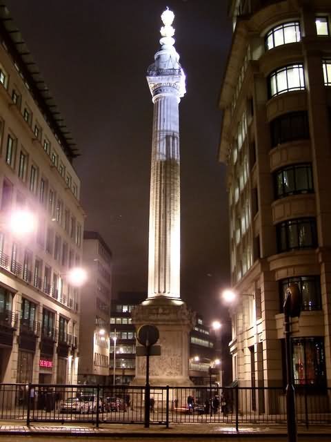 Night View Of The Monument To The Great Fire of London