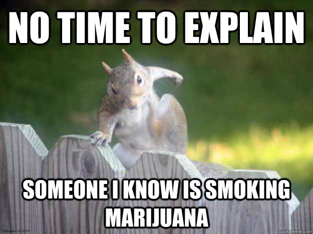 No Time To Explain Funny Squirrel Meme Picture
