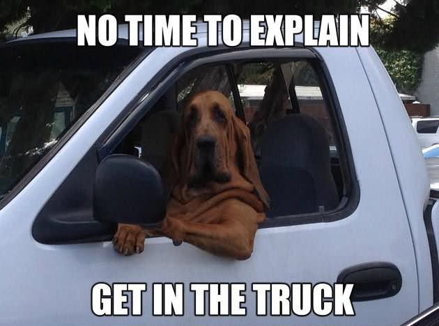 No Time To Explain Get In The Truck Funny Meme Picture