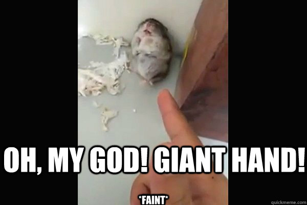 Oh My God Giant Hand Funny Hamster Meme Image
