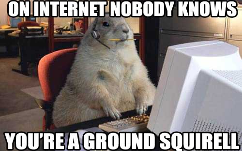 On Internet Nobody Knows You Are ground Squirrel Funny Meme Image