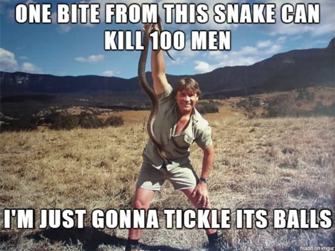 One Bite From This Snake can Kill 100 Men Funny Snake Meme Picture
