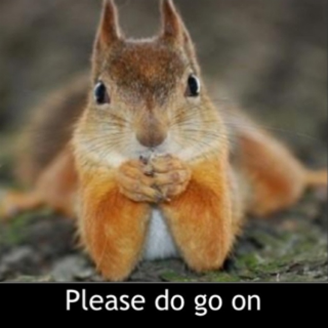 Please-Do-Go-On-Funny-Squirrel-Meme-Pict