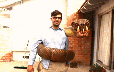 14 Most Funniest Snake Gif Pictures Of All The Time