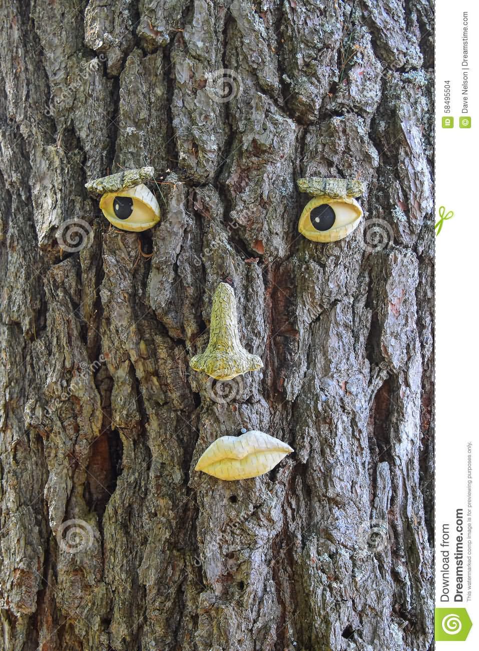 Sadness Tree Face Funny Image