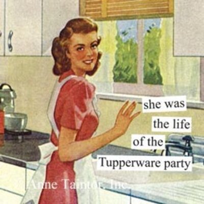 She Was The Life Of The Tupperware Party Funny Vintage Meme Photo