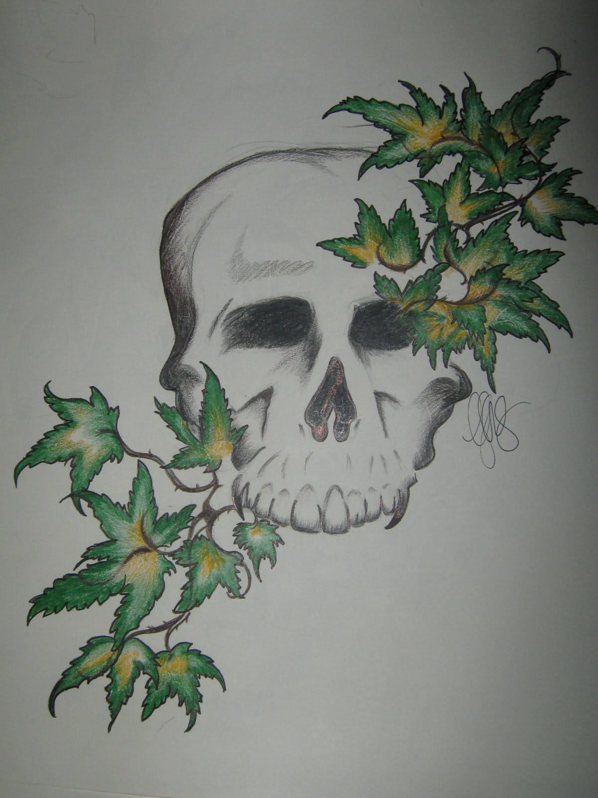 Skull With Vine Tattoo Design