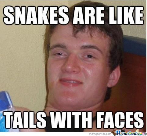 Snakes Are Like Tails With Faces Funny Meme Image