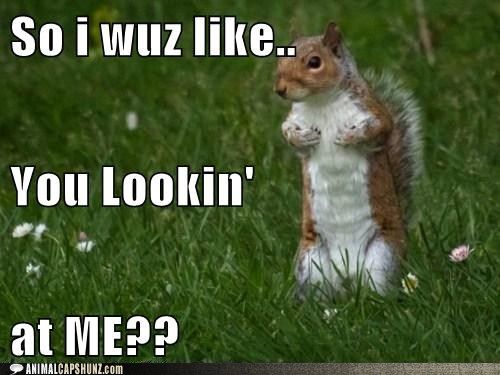So I Wuz Like You Lookin At Me Funny Squirrel Meme Image