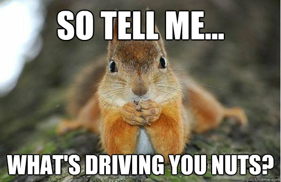 So Tell Me What's Driving You Nuts Funny Squirrel Meme Picture