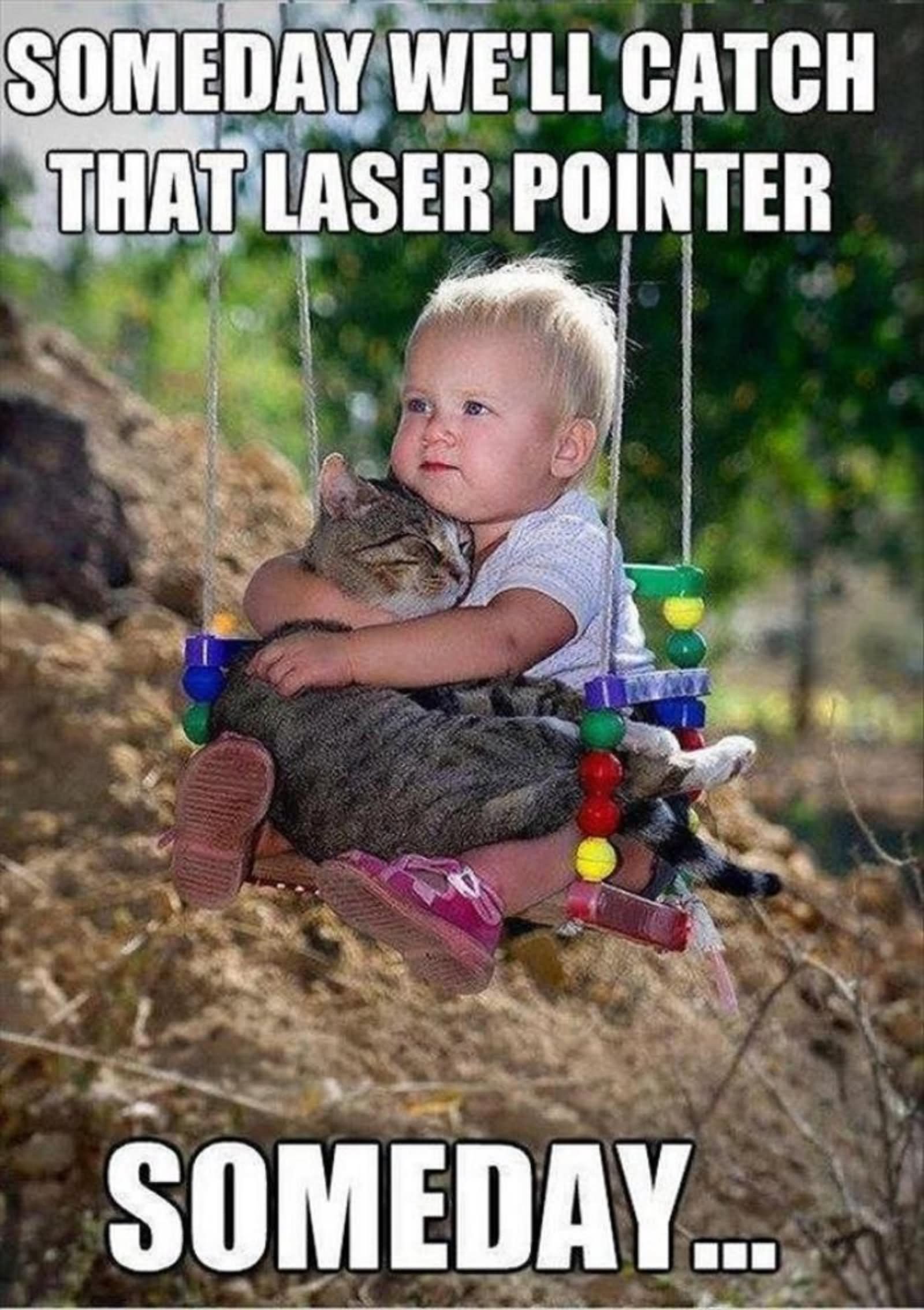 Someday We Will Catch That Laser Pointer Funny Children Meme Picture