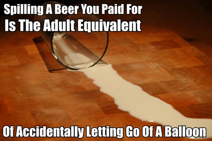 Spilling A Beer You Paid For Is The Adult Equivalent Funny Beer Meme Image