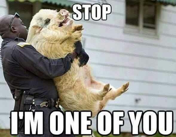 Stop I Am One Of You Funny Cop Meme Image