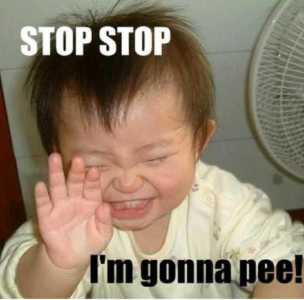 Stop Stop I Am Gonna Pee Funny Amazing Meme Picture