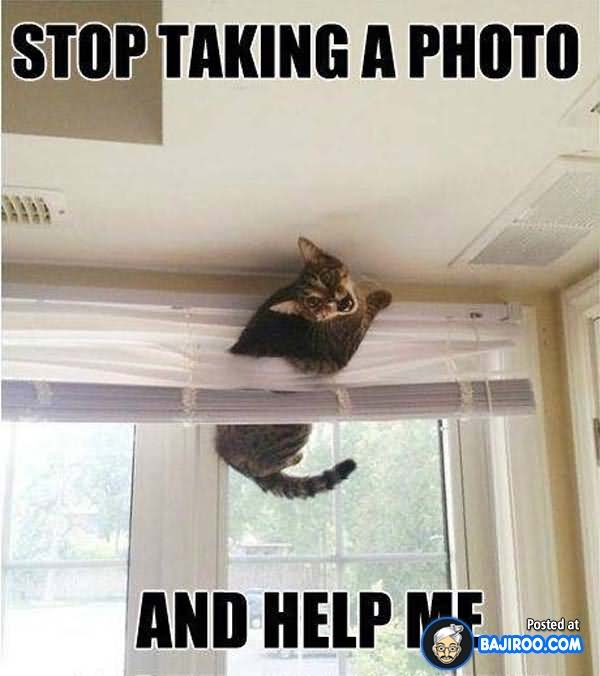 Stop Taking Taking A Photo And Help Me Funny Amazing Meme Picture