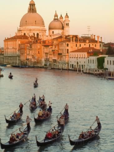 Sunset View Of Gondolas In The Grand Canal And The Santa Maria della Salute