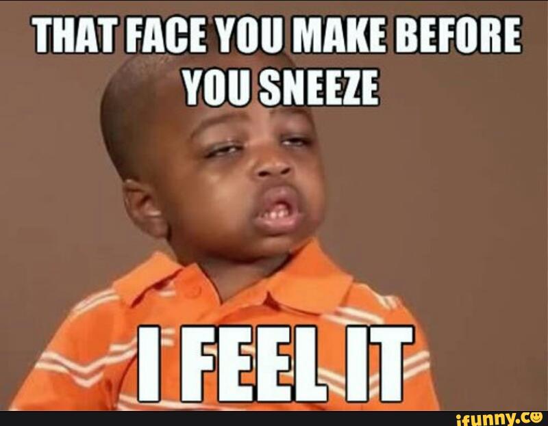 That Face You Make Before You Sneeze Funny Children Meme Picture