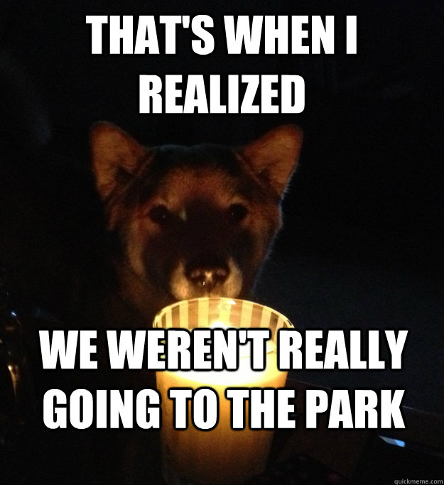 That's When I Realized We Were Not Really Going To The Park Funny Scary Meme Image