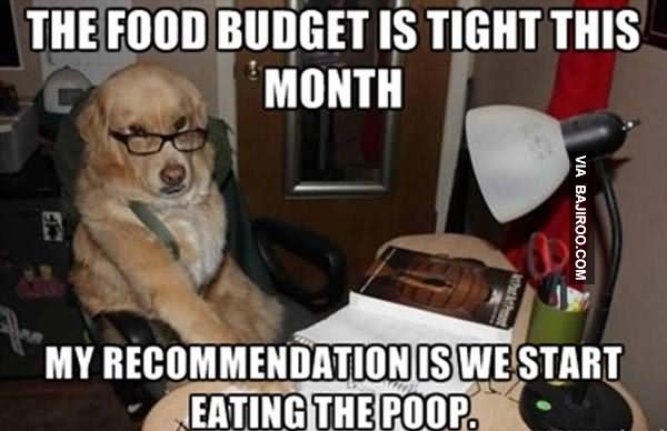 The Food Budget Is Tight This Month Funny Food Meme Image