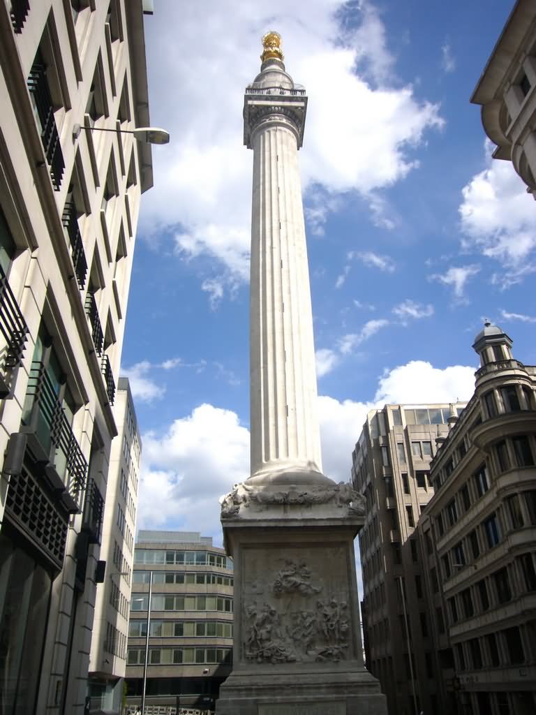 The Monument To The Great Fire of London Picture